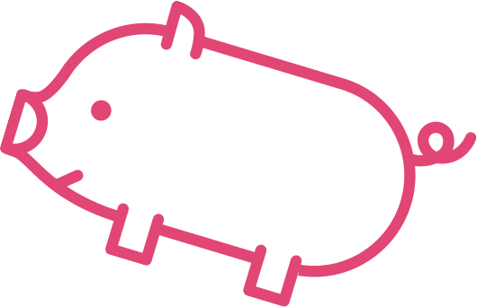 pig